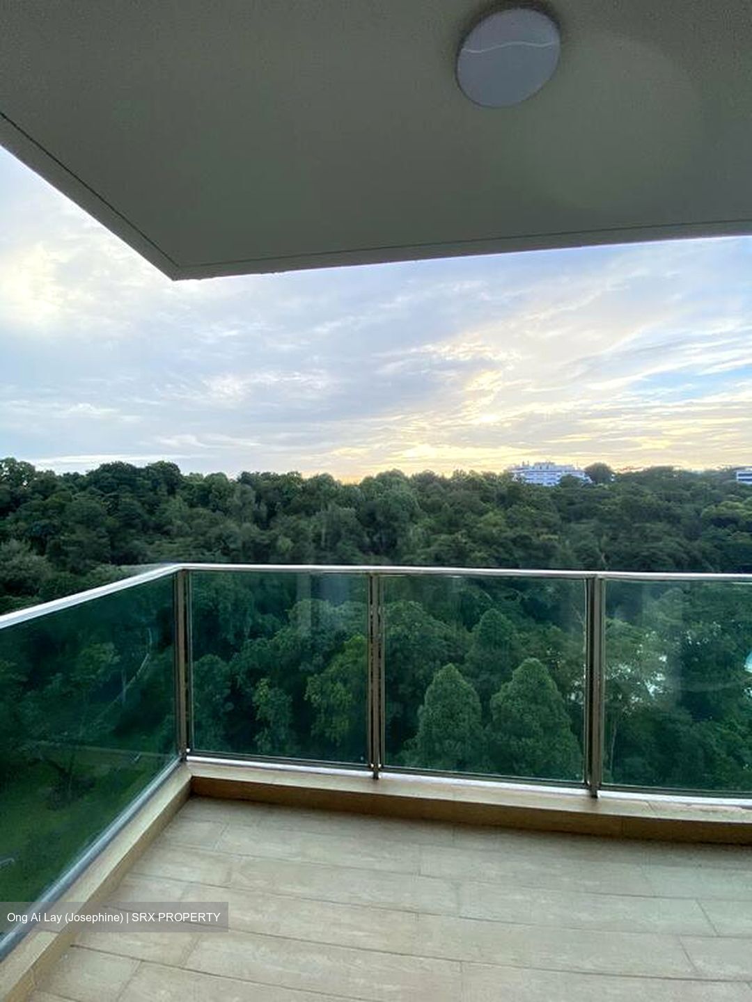 Normanton Park (D5), Apartment #503095191